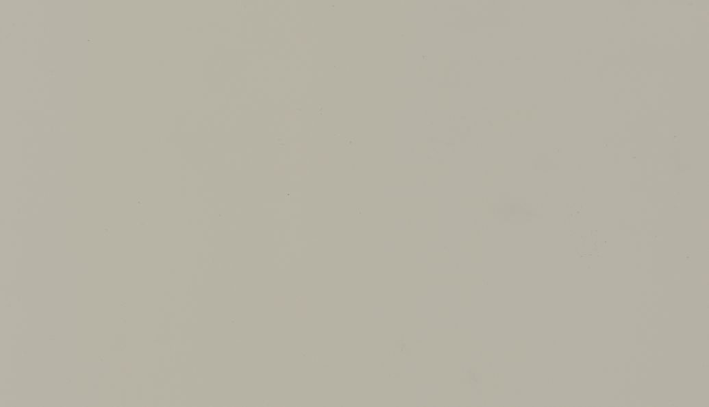 Панель EVS016 Опал Милкшейк матовый 2800*1220 18 мм EVOSOFT